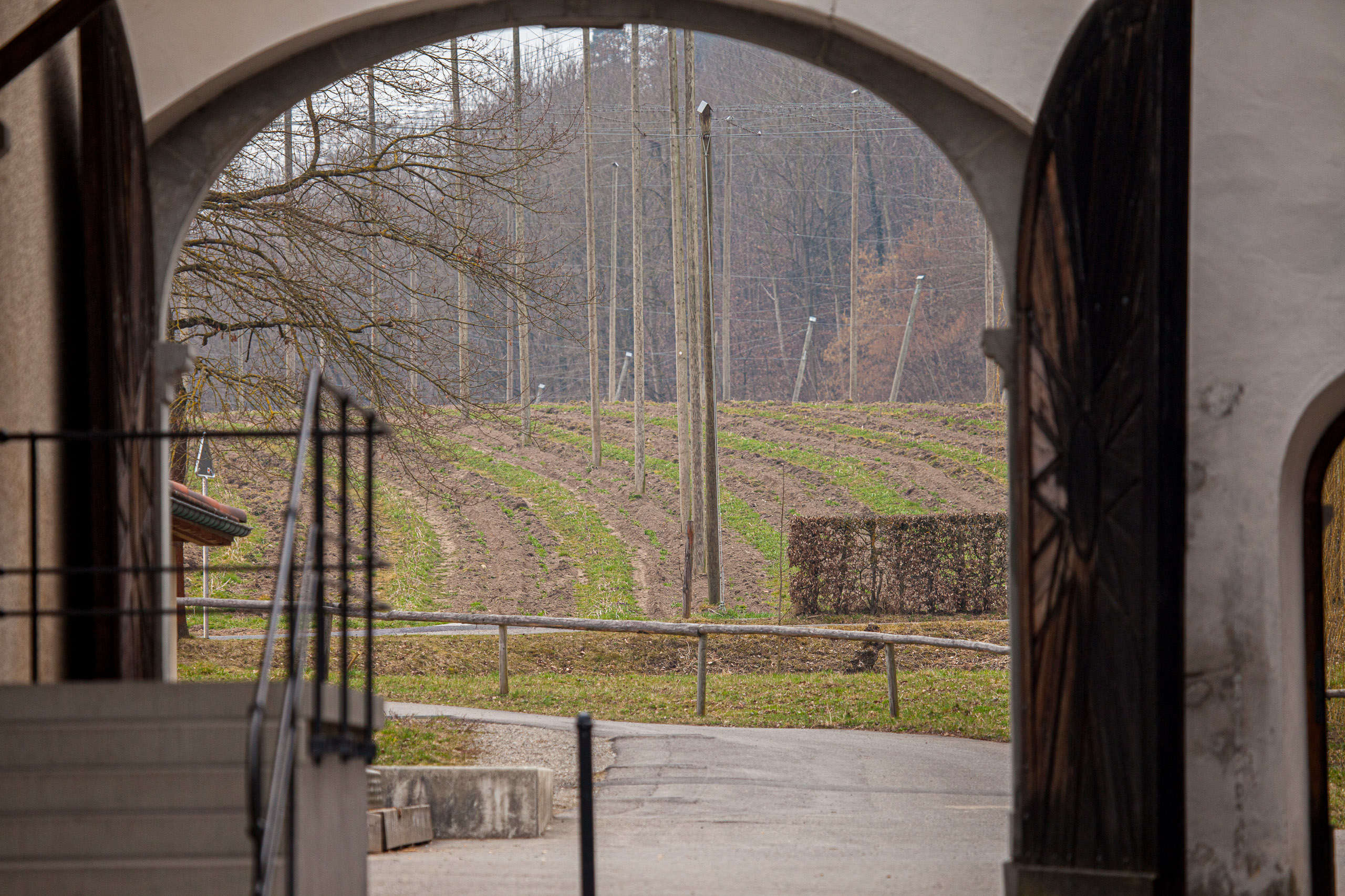 20110313133353 IMG 7255